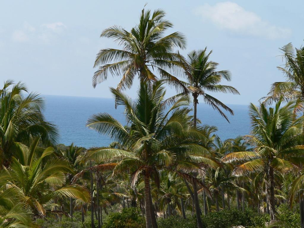 Blue Moon Beach Holiday Resort Inhambane Rom bilde