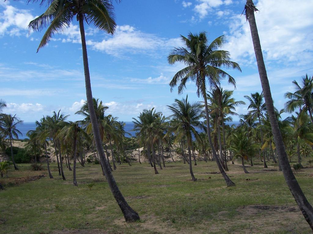 Blue Moon Beach Holiday Resort Inhambane Rom bilde
