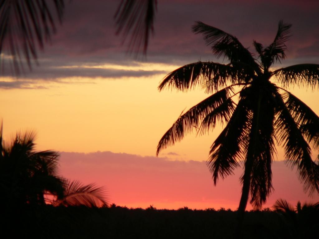 Blue Moon Beach Holiday Resort Inhambane Eksteriør bilde