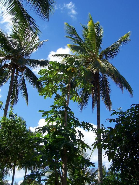 Blue Moon Beach Holiday Resort Inhambane Eksteriør bilde