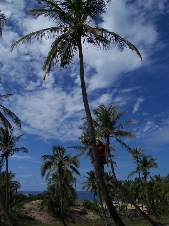 Blue Moon Beach Holiday Resort Inhambane Eksteriør bilde